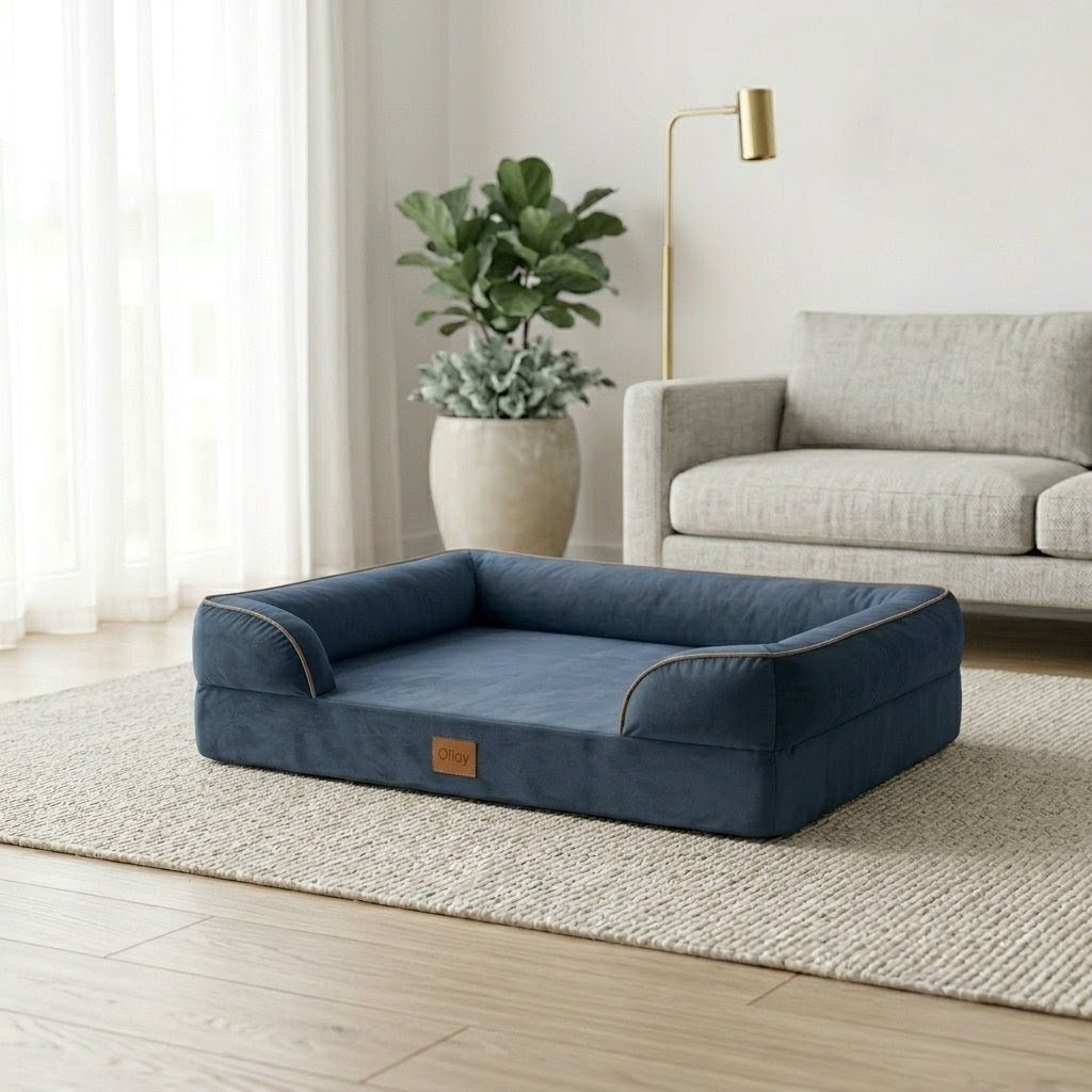 Olloy Bed in navy blue velvet, medium size, styled in a bright living room